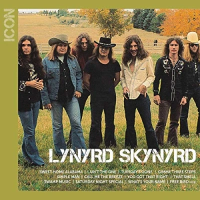 Afbeelding van Lynyrd Skynyrd Icon (CD)