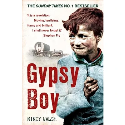 Afbeelding van Gypsy Boy