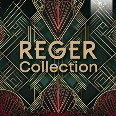 Afbeelding van Various Artists Reger Collection (18 CD)