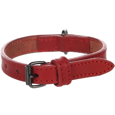 Afbeelding van Flamingo Denver Gewoon Halsband Honden Rood Xs/s 24 30cm 15mm 1st 174615