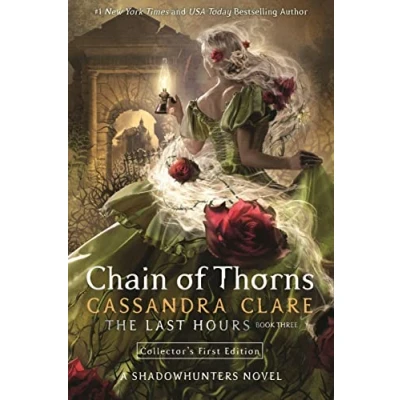 Afbeelding van The Last Hours 3: Chain of Thorns