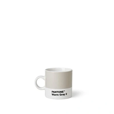 Afbeelding van Pantone Espressobeker Bone China 120 ml Warm Gray 2 C