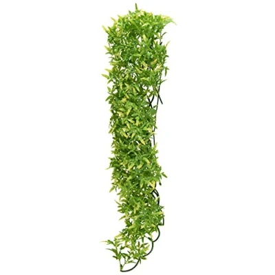Afbeelding van Zoomed Naturalistic flora Bolivian Croton Large terrariumplant