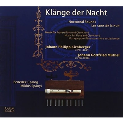 Afbeelding van Benedek Csalog &amp; Miklos Spanyi Klänge der Nacht (CD)