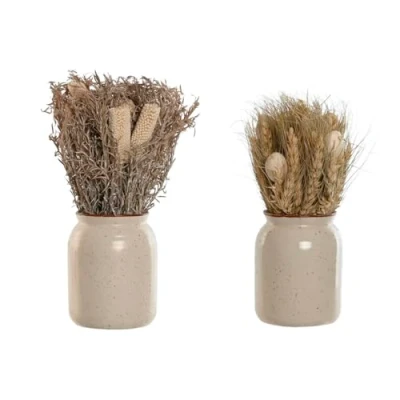 Afbeelding van Decoratieve plant Home ESPRIT Bloem 13 x 25 cm (2 Stuks) (12