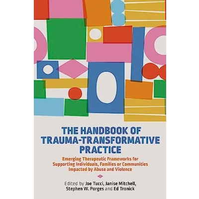 Afbeelding van The Handbook of Trauma Transformative Practice
