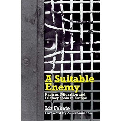 Afbeelding van Suitable Enemy