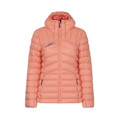 Afbeelding van Rock Experience COSMIC HOODIE PADDED Dames Outdoorjas Bruin M Donsjas Puffer Wintersportjas