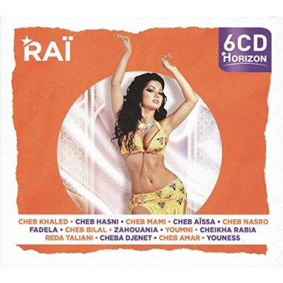 Afbeelding van Various Artists Rai (6 CD)