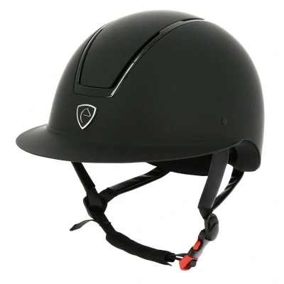 Image de EQUITHÈME Bombe Glint Mat Noir/Argent