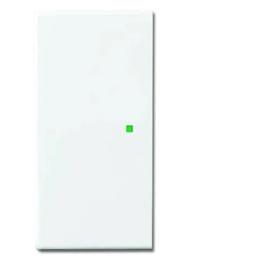 Afbeelding van ABB Busch Jaeger FreeAtHome Bedieningselement/Centrale Plaat Schakelmateriaal 2CKA006220A0049 E35R9
