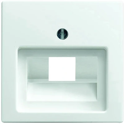 Afbeelding van Busch Jaeger Balance SI centraalplaat voor datadoos 1 x RJ45 1803 914