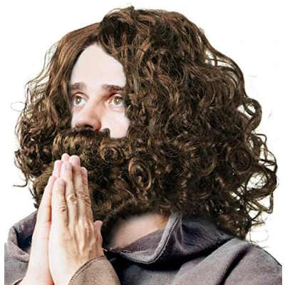 Afbeelding van Pruik &amp; baard Jezus profeet goeroe hipster bosman holbewoner in bruin voor Mardi Gras/Carnaval en themafeesten
