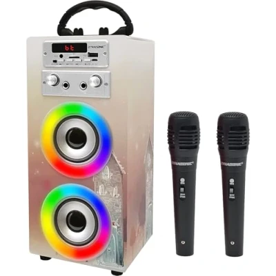 Image de Machine de karaoké portable DYNASONIC, 2 microphones, haut parleur Bluetooth, lumières, lecteur USB et SD (025 19)