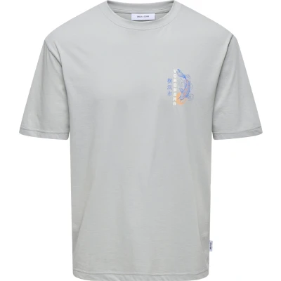 Afbeelding van ONLY &amp; SONS T shirt Keane 22030973