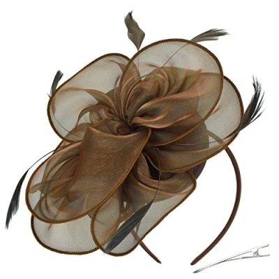 Afbeelding van Dreshow Fascinator hoed voor dames, met netband en veren, B rood, één maat