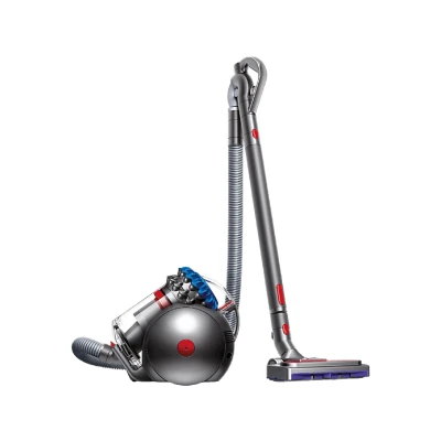 Image de Dyson Big Ball Absolute 2