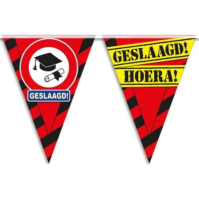 Afbeelding van Vlaggenlijn Slinger Geslaagd verkeersbord 10 mtr.