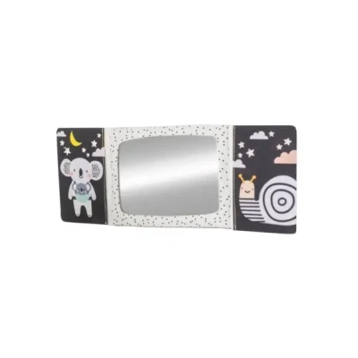 Afbeelding van Taf Toys Babyboekje voor stimuleren buiklig baby Tummy Time Mirror Book