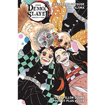 Afbeelding van DEMON SLAYER PAPILLON A UNE SEULE AILE Roman T2