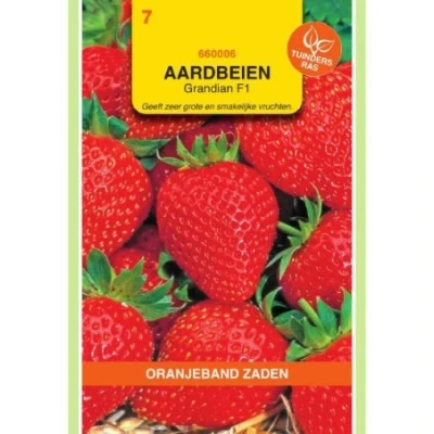 Afbeelding van Aardbeien Grandian (vh Sarian) F1