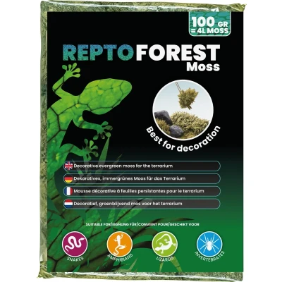 Afbeelding van Repto Forest Moss Terrarium Mos