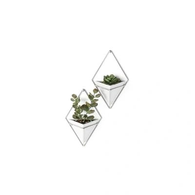 Afbeelding van Umbra Trigg muurdisplay (set van 2)