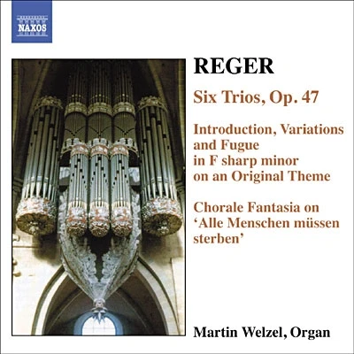 Afbeelding van Martin Welzel Reger: Organ Works Volume 6 (CD)