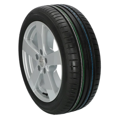 Afbeelding van Dunlop Sport Bluresponse 205/55 R17 95Y XL MFS (J)