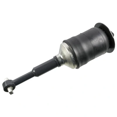 Afbeelding van Febi Bilstein Schokdemper 185238