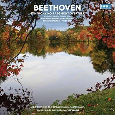 Afbeelding van Radio Symphony Orchesta Ljubljana &amp; Philharmonic Slavonica Beethoven: No.5 (LP)