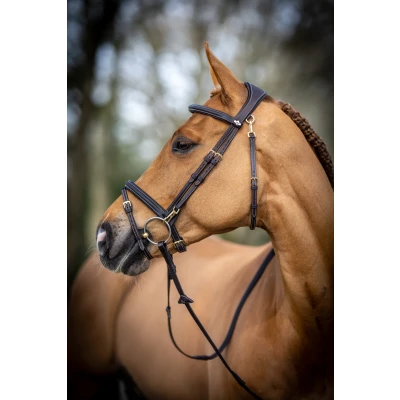 Image de LeMieux Kudos Bride Work Marron Full