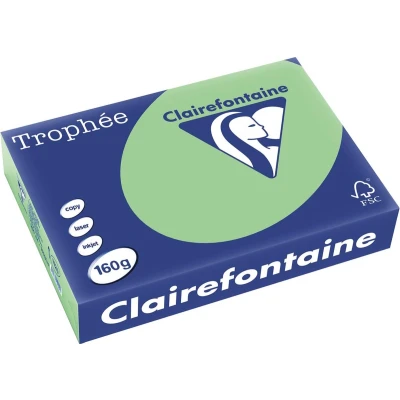 Afbeelding van Clairefontaine Trophée Pastel, gekleurd papier, A4, 160 g, 250 vel, natuurgroen papier