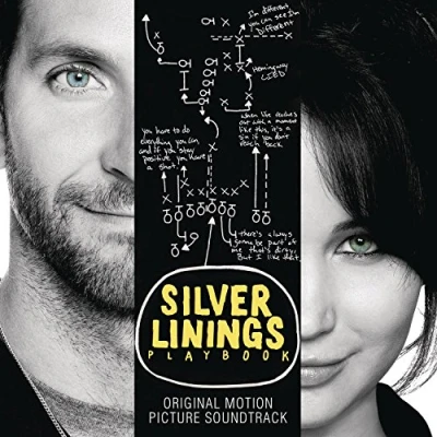 Afbeelding van Silver Linings Playbook