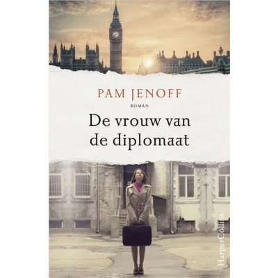 Image de de vrouw van diplomaat