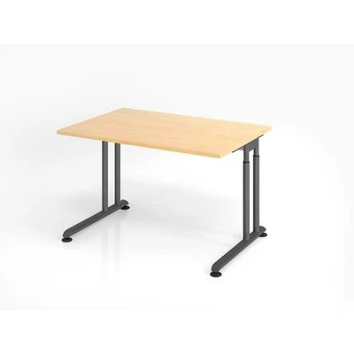 Afbeelding van Bureau In Hoogte Verstelbaar Meerkleurig Zeno 12 G 120x80