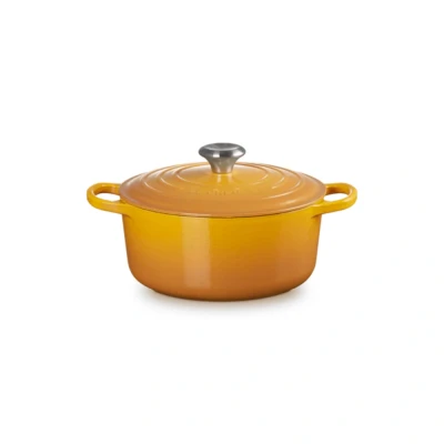 Afbeelding van Le Creuset Signature Braadpan 24 Cm Nectar / Oranje