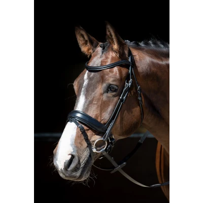 Image de Harry&#039;s Horse Bride MM Foramen Free Noir Poney