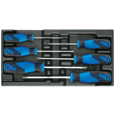 Afbeelding van Gedore 1500 ES 2163 TXB 3 C schroevendraaier set in 1/3 gereedschapsmodule