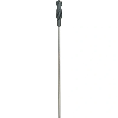 Afbeelding van Bosch Accessories 2608597178 Bekistingsboor 30 mm Gezamenlijke lengte 600 Cilinderschacht 1 stuk(s)