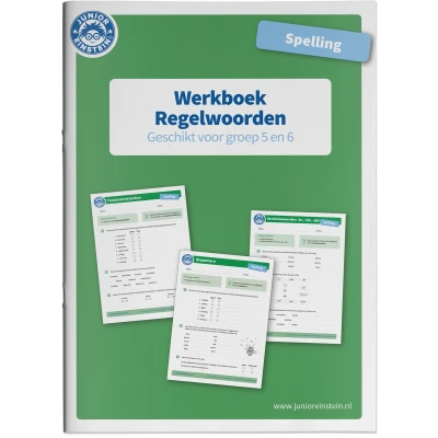 Afbeelding van Regelwoorden geschikt voor groep 5 en 6 Werkboek