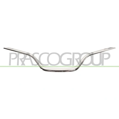 Afbeelding van PRASCO RN7002236 Sier / Beschermingspaneel, radiateurgrille