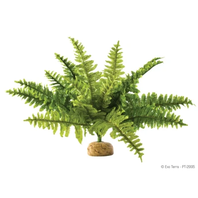Afbeelding van Exo Terra Rainforest Plant Boston Fern Kunstplanten Small