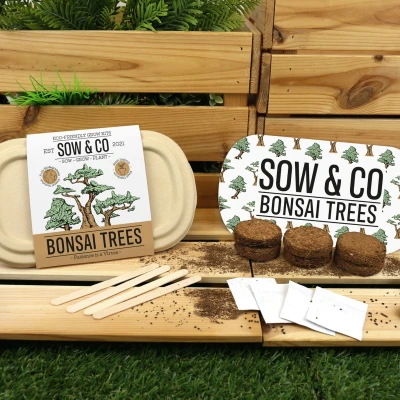 Afbeelding van Gift Republic Bonsai Bomen