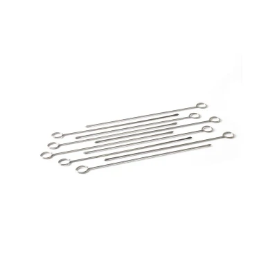Afbeelding van Barbecook Set Van 10 Spiesen Uit Rvs
