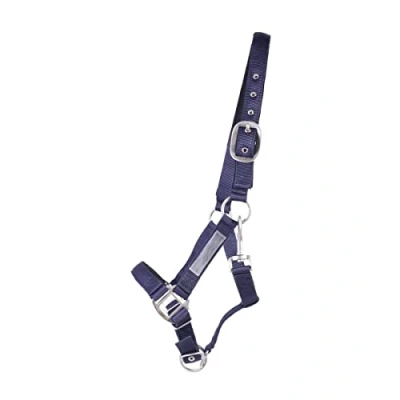 Image de QHP Safety Halter Lined