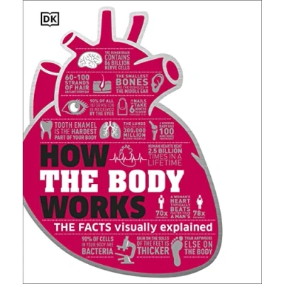 Afbeelding van How The Body Works