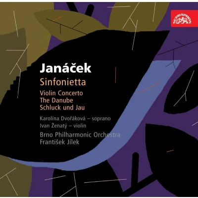 Afbeelding van Brno Philharmonic Orchestra, František Jílek Janácek: Orchestral Works III (CD)