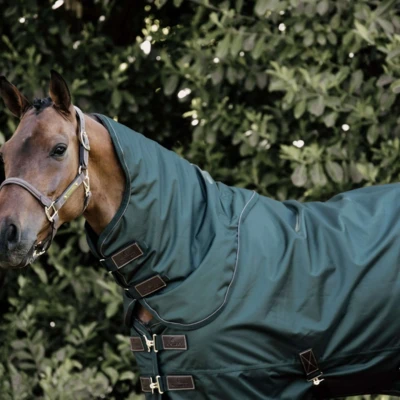 Afbeelding van Kentucky Turnout All Weather 160g Donkergroen 140/191