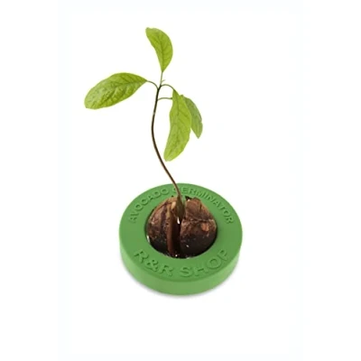 Afbeelding van R&amp;R SHOP Avocado Germinator Drijvende pot voor het ontkiemen van avocado, set kweken zaden, 100% maïskunststof (groen)
